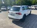 Volkswagen Tiguan Tiguan 2.0 tdi R-Line BM 4motion dsg Bianco - thumbnail 5