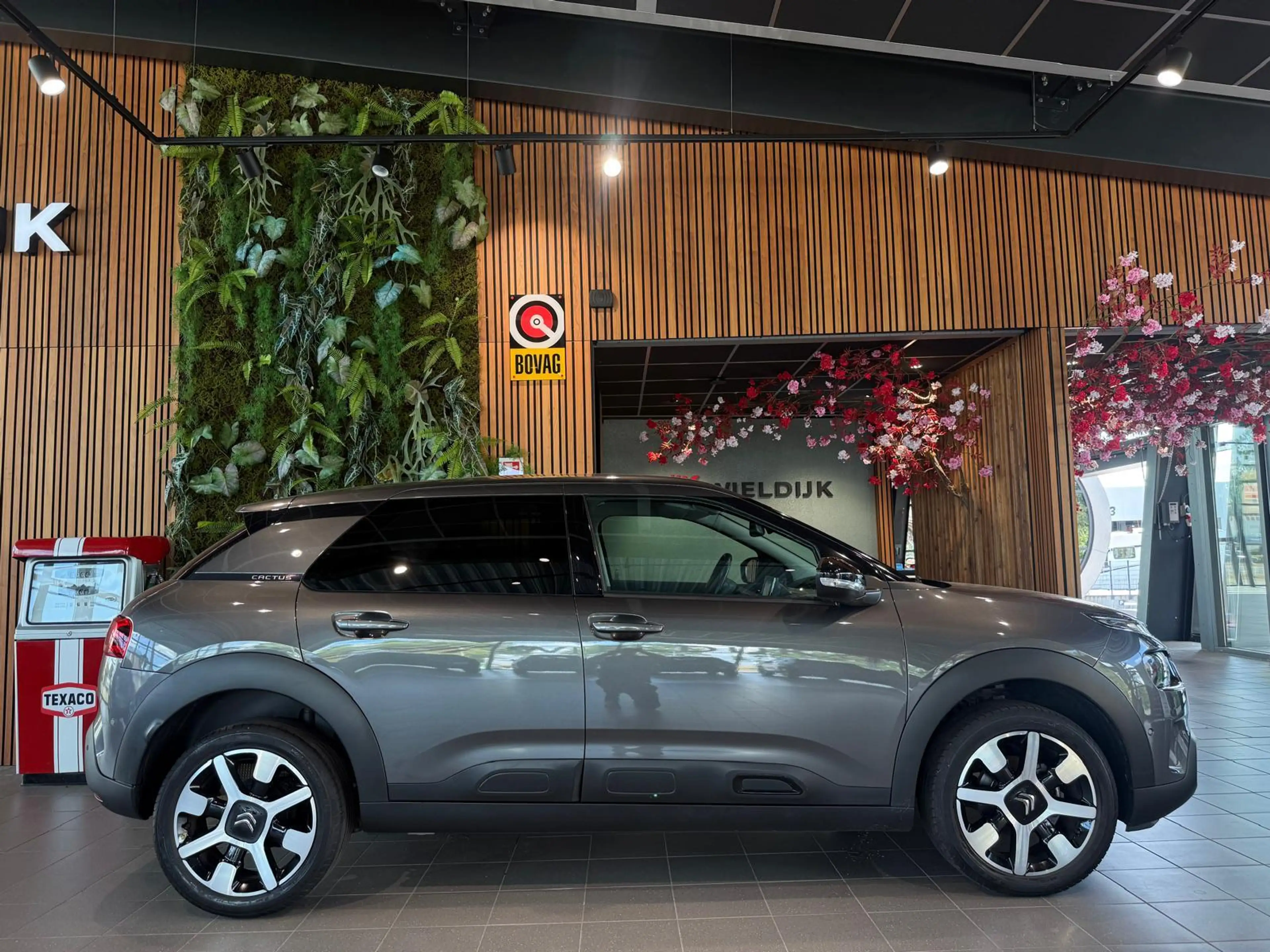 Citroen C4 Cactus 1.2 PureTech Shine Keyless camera trekhaak — photo 5