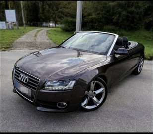 Cabrio 2.0 TDI DPF