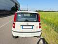 Fiat Panda Panda 1.4 natural power Classic Bianco - thumbnail 4