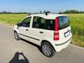 Fiat Panda Panda 1.4 natural power Classic Bianco - thumbnail 5