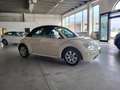 Volkswagen New Beetle Cabrio 1.4 Beige - thumbnail 3