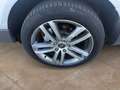 Audi Q7 3.0TDI quattro Tiptronic DPF Plateado - thumbnail 18