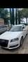 Audi A3 A3 Sportback  1.6 tdi  90cv Bianco - thumbnail 8