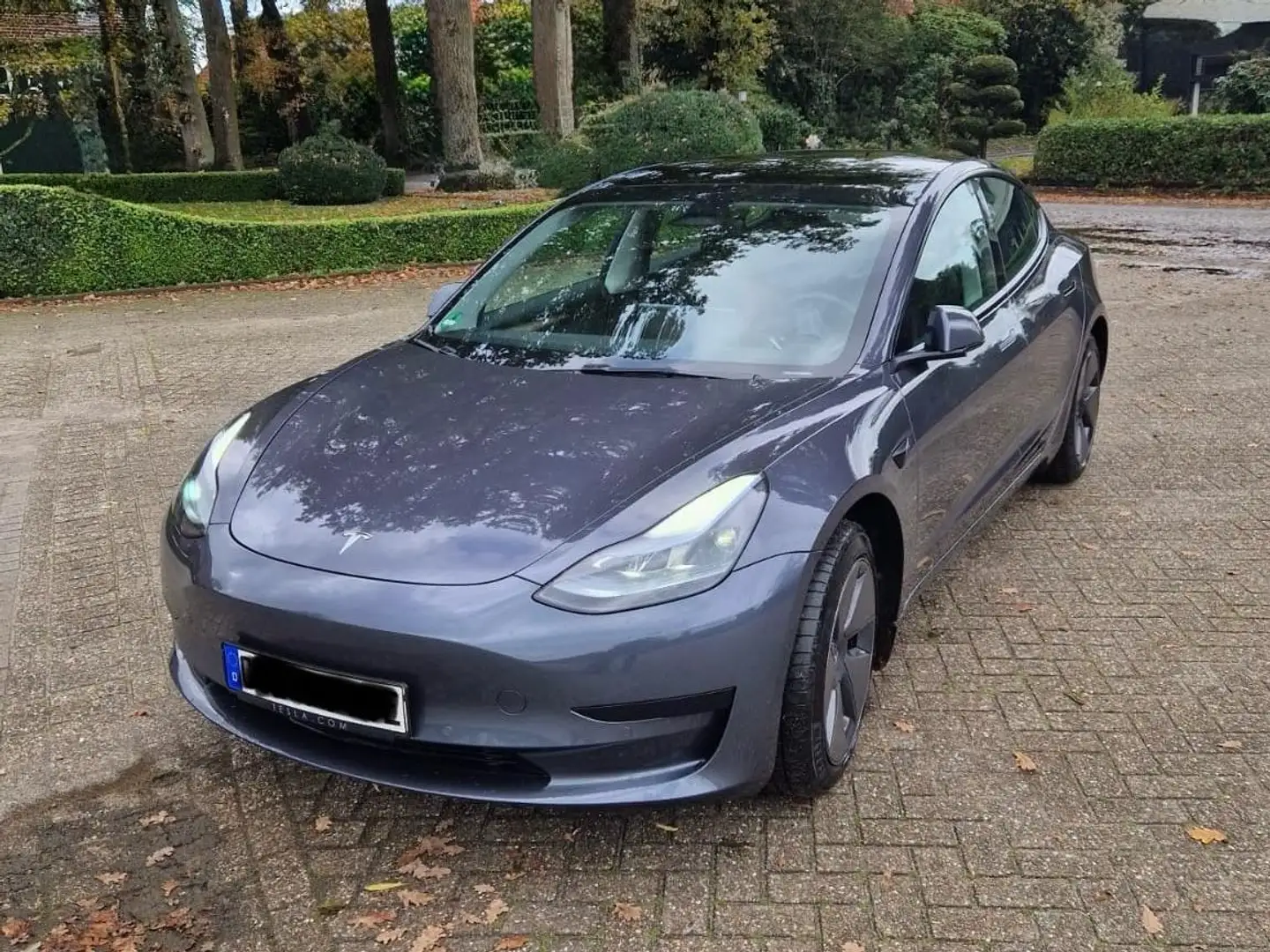 Tesla Model 3 Silber - 2
