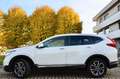 Honda CR-V 2.0 mhev Lifestyle Navi 145cv ecvt SERVICE HONDA Blanc - thumbnail 3