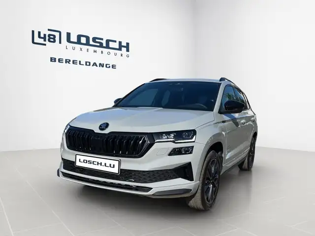 Skoda Karoq view 3