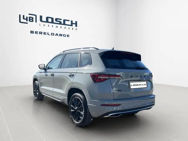 Skoda Karoq view 5