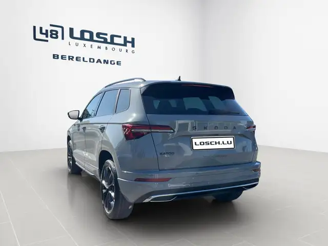 Skoda Karoq view 6