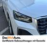 Audi Q2 30 TFSI admired Biały - thumbnail 3