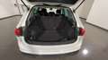 Volkswagen Tiguan Tiguan 1.5 tsi Life 150cv dsg - 2k* Bianco - thumbnail 12