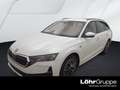 Skoda Octavia Combi 2.0 TDI DSG Tour AHK, Navi Weiß - thumbnail 1