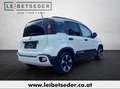 Fiat Panda 4x2 FireFly Hybrid 70 Pandina Weiß - thumbnail 5