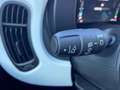Fiat Panda 4x2 FireFly Hybrid 70 Pandina Weiß - thumbnail 15