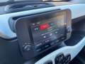 Fiat Panda 4x2 FireFly Hybrid 70 Pandina Weiß - thumbnail 16