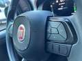 Fiat Panda 4x2 FireFly Hybrid 70 Pandina Blanc - thumbnail 13