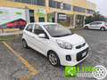 Kia Picanto 1.0 12V 5 porte Glam Blanc - thumbnail 3
