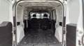Fiat Doblo cargo 1.6 mjt maxi +IVA Bianco - thumbnail 12
