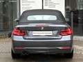 BMW 220 d Cabrio Sports.Navi Lenk+Sitzh.LED DAB 18" PDC Grau - thumbnail 8