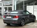 BMW 220 d Cabrio Sports.Navi Lenk+Sitzh.LED DAB 18" PDC Grau - thumbnail 9