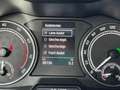Skoda Kamiq 1.0 TSI DSG Style+ALU'18+LED+CLIMATRONIC+ Gris - thumbnail 18