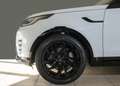Land Rover Discovery D250 R-Dynamic SE Navi Leder ACC Panoramadach Weiß - thumbnail 10