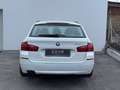 BMW 530 d xDrive Touring Österreich-Paket Aut.*Leder*vo... Weiß - thumbnail 4