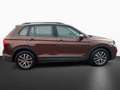 Volkswagen Tiguan 2.0 TDI DSG Life Navi AHK Pano-Dach ACC Braun - thumbnail 8
