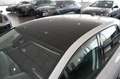 Volkswagen Golf 1.5 TSI Life | Discover Pro | App | Pano Wit - thumbnail 29