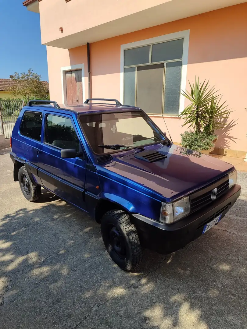 Fiat Panda 1.1 Trekking 4x4 - 1