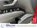 Hyundai TUCSON 1.6 PLUG-IN HYBRID TREND NAVI+PDC+AMBIENTE Rojo - thumbnail 12