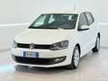 Volkswagen Polo 5p 1.2 tdi United - thumbnail 1
