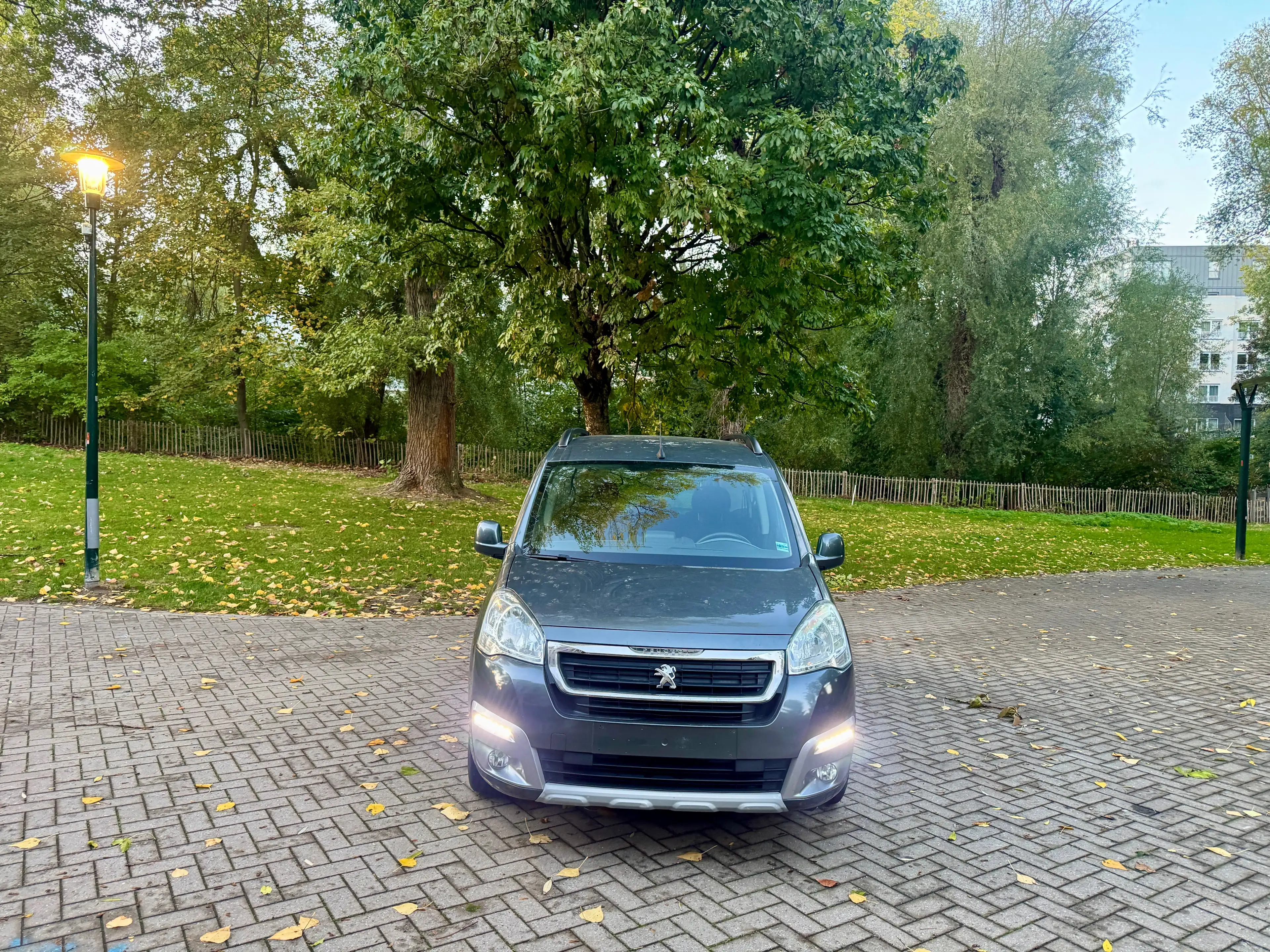 Peugeot Partner Partner Tepee 1.2 PureTech Active S — photo 8