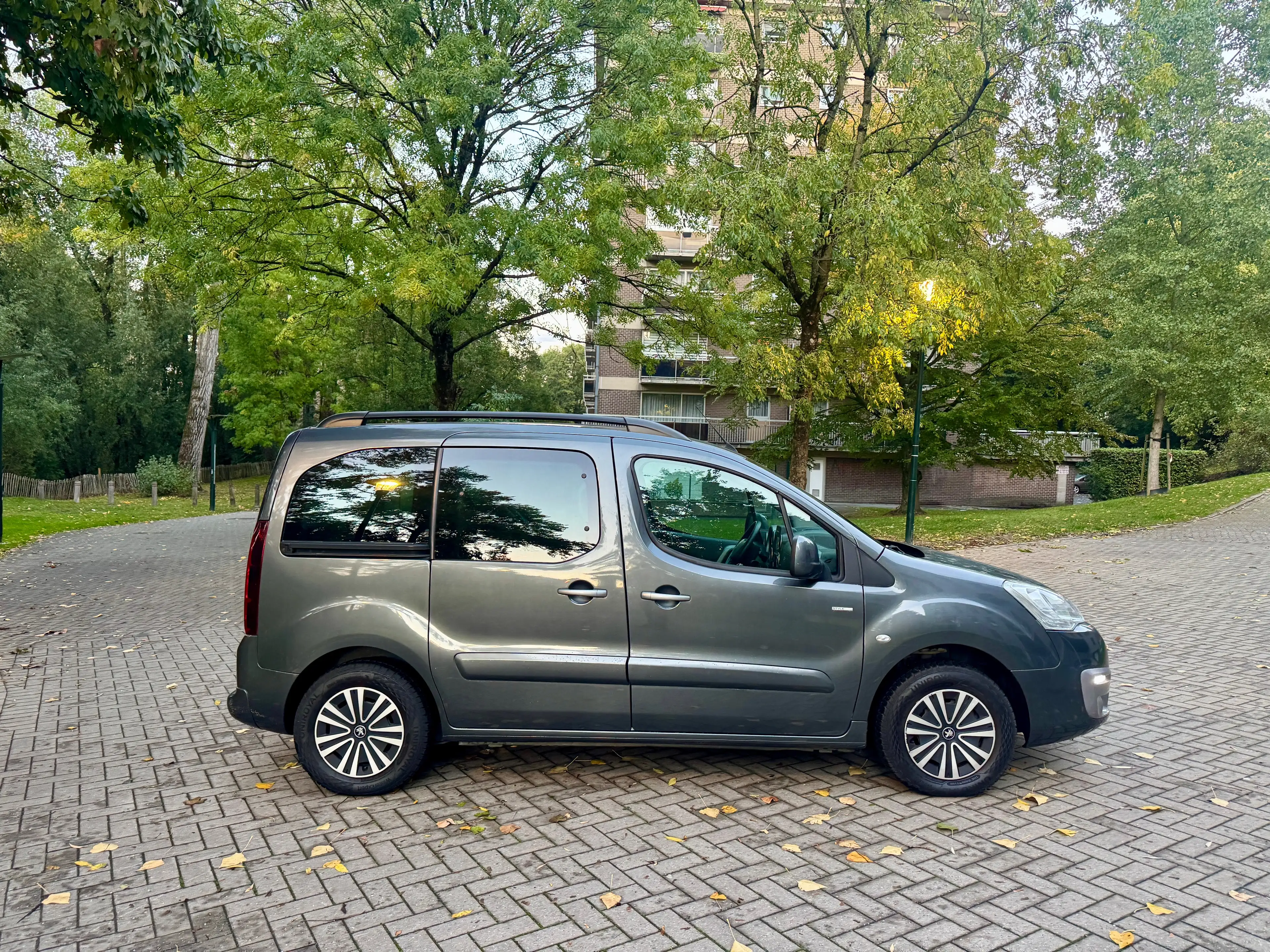 Peugeot Partner Partner Tepee 1.2 PureTech Active S — photo 7
