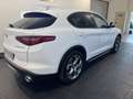 Alfa Romeo Stelvio Stelvio 2.2 Turbodiesel 190 CV AT8 Q4 Executive Blanc - thumbnail 3