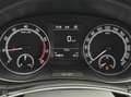 Skoda Fabia Combi 1.0 TSI Business Edit. *DAB *Trekhk *Navi Grijs - thumbnail 19