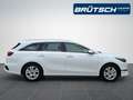 Kia Ceed / cee'd Ceed Sportswagon 1.6 CRDi Mild Hybrid Vision AUTOM Weiß - thumbnail 8