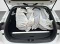 Kia Ceed / cee'd Ceed Sportswagon 1.6 CRDi Mild Hybrid Vision AUTOM Weiß - thumbnail 16