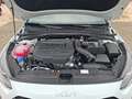 Kia Ceed / cee'd Ceed Sportswagon 1.6 CRDi Mild Hybrid Vision AUTOM Weiß - thumbnail 17