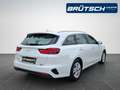 Kia Ceed / cee'd Ceed Sportswagon 1.6 CRDi Mild Hybrid Vision AUTOM Weiß - thumbnail 4