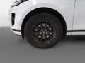 Land Rover Range Rover Evoque 2.0D I4 Standard FWD 163 Bianco - thumbnail 14