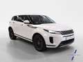 Land Rover Range Rover Evoque 2.0D I4 Standard FWD 163 Bianco - thumbnail 7
