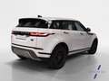 Land Rover Range Rover Evoque 2.0D I4 Standard FWD 163 Bianco - thumbnail 5
