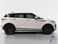 Land Rover Range Rover Evoque 2.0D I4 Standard FWD 163 Bianco - thumbnail 6