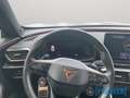 CUPRA Formentor VZ5 2.5TSI 4Drive DSG Matrix Navi Beats 360° ACC Grau - thumbnail 12