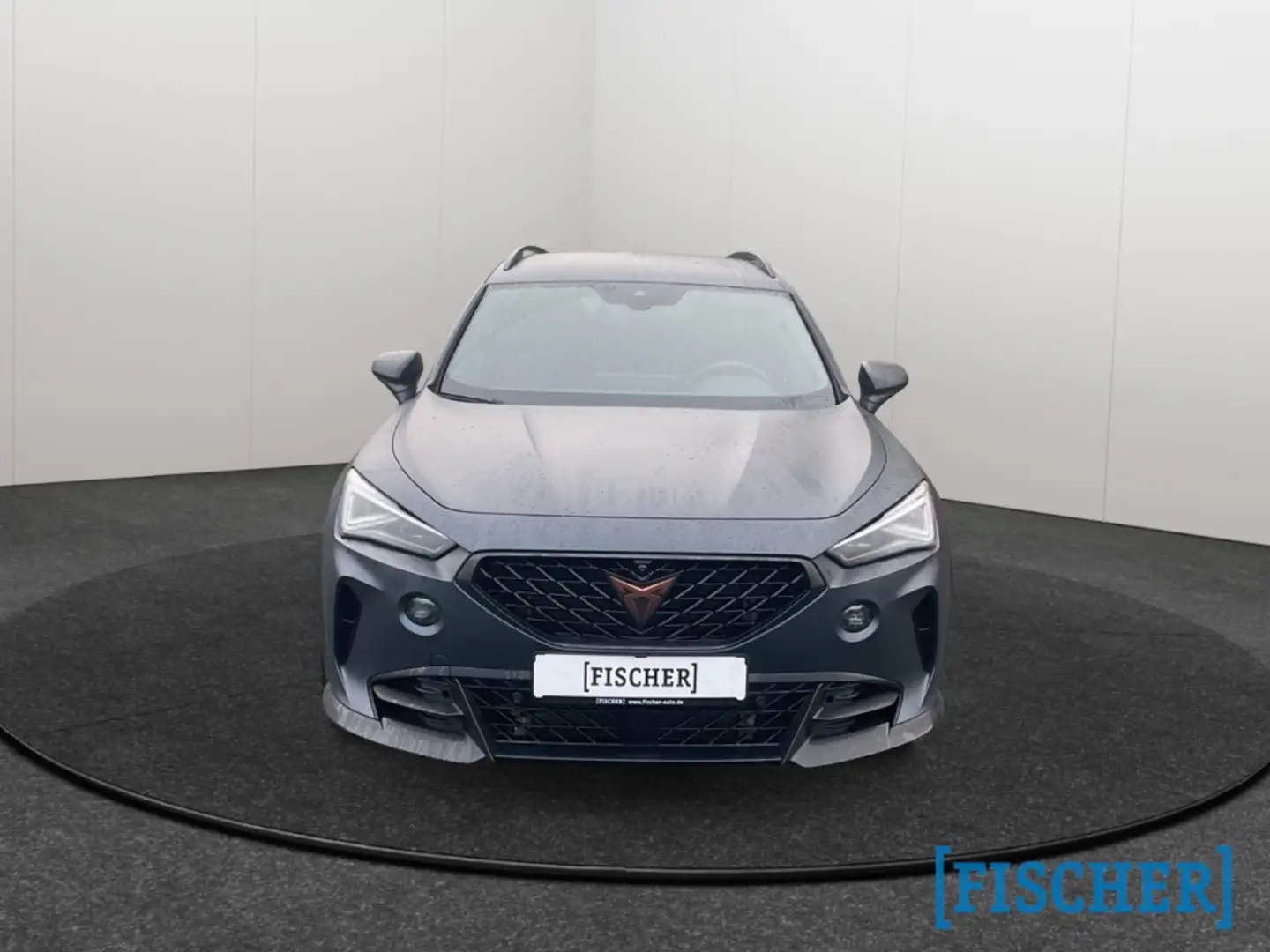 CUPRA Formentor VZ5 2.5TSI 4Drive DSG Matrix Navi Beats 360° ACC Grau - 2