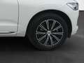 Volvo XC60 D4 Inscription AWD Aut. Blanco - thumbnail 8