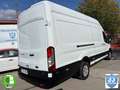 Ford Transit 2.0TDCI 170CV L4H3 Blanc - thumbnail 33
