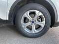 Ford Kuga PHEV Cool & Connect Navi Tempomat 2xPDC SHZ Bianco - thumbnail 17