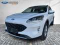 Ford Kuga PHEV Cool & Connect Navi Tempomat 2xPDC SHZ Bianco - thumbnail 16